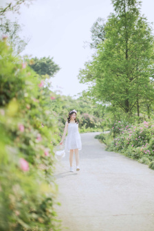 闵子骞